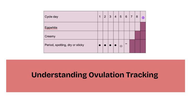 Understanding Ovulation Tracking